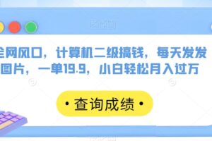 全网风口，计算机二级搞钱，每天发发图片，一单19.9，小白轻松月入过万【揭秘】