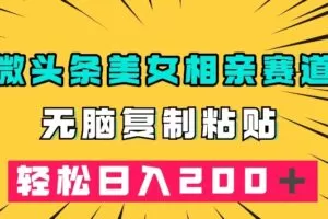 微头条冷门美女相亲赛道，无脑复制粘贴，轻松日入200＋【揭秘】