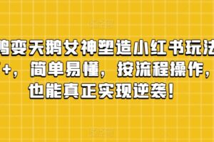 丑小鸭变天鹅女神塑造小红书玩法，月入5万+，简单易懂，按流程操作，草根也能真正实现逆袭！