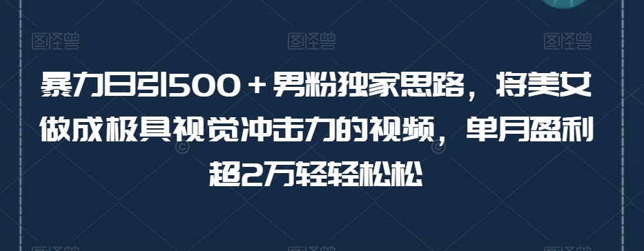 【第6165期】暴力日引500＋男粉独家思路，将美女做成极具视觉冲击力的视频，单月盈利超2万