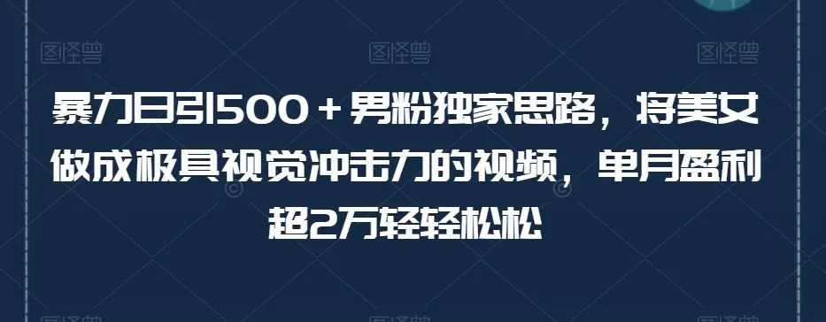 暴力日引500+男粉独家思路,将美女做成极具视觉冲击力的视频,单月盈利超2万轻轻松松