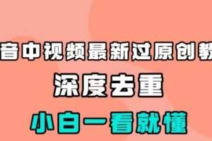 抖音中视频最新过原创教程，深度去重，小白一看就懂【揭秘】