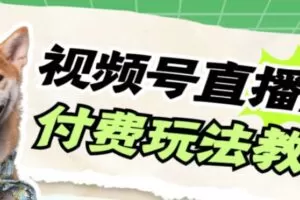 视频号美女付费无人直播，轻松日入500+【详细玩法教程】