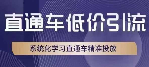 直通车低价引流课,系统化学习直通车精准投放