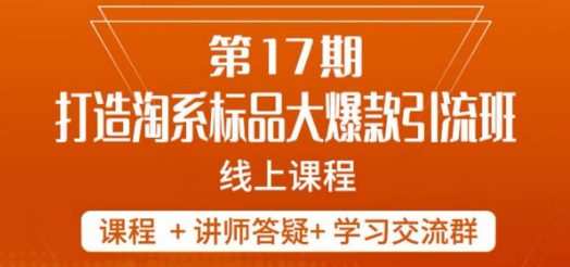 南掌柜-第17期打造淘系标品大爆款,5天线上课