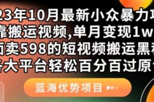 2023年10月最新小众暴力项目，靠搬运视频,单月变现1w+，外面卖598的短视频搬运黑科技，各大平台轻松百分百过原创