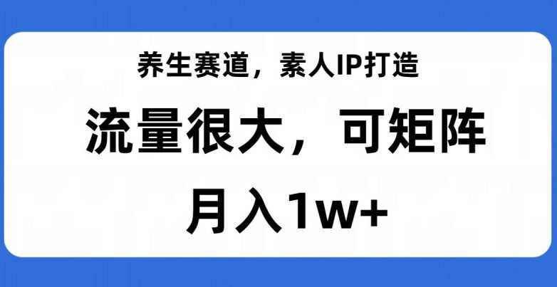 养生赛道，素人IP打造，流量很大，可矩阵，月入1w+【揭秘】