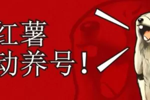 小红书养号秘籍，如何自动涨粉清晰系统标签打造高权重账号【揭秘】