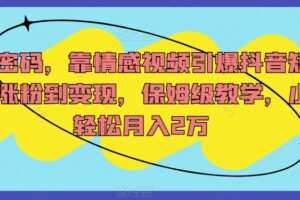 流量密码，靠情感视频引爆抖音短视频，涨粉到变现，保姆级教学，小白轻松月入2万【揭秘】