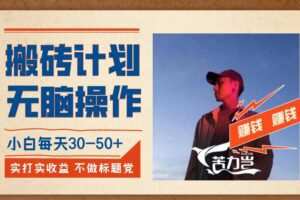 搬砖计划，小白无脑操作每天利润30-50+，完全无脑，不存在封号【揭秘】