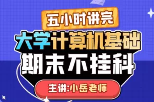 《大学计算机基础》期末5小时讲完附赠上机实操课