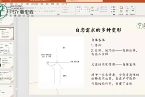 《自体心理高阶》徐钧：百年精神分析-返身性的观察与解读