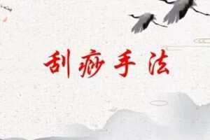 刘霞新版人体十二部刮痧视频课程13集