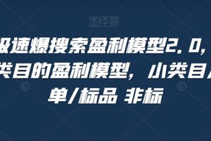 淘系极速爆搜索盈利模型2.0，淘宝各个类目的盈利模型，小类目/高客单/标品 非标