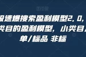 淘系极速爆搜索盈利模型2.0，淘宝各个类目的盈利模型，小类目/高客单/标品 非标