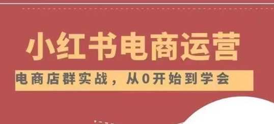 小红书店铺运营从小白到大神2.0,从入门到精通