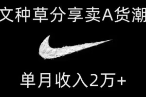 靠图文种草分享卖A货潮鞋，每天一小时，单月收入2万+【揭秘】