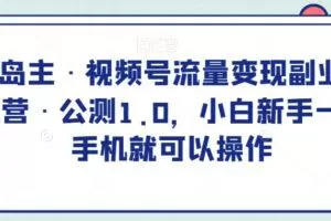 黄岛主·视频号流量变现副业训练营·公测1.0，小白新手一部手机就可以操作