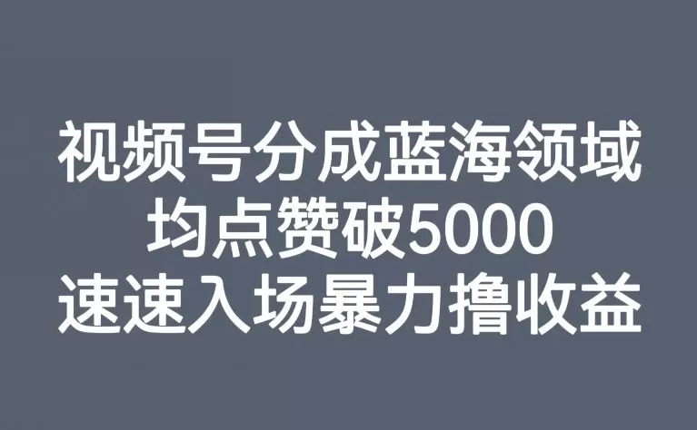 视频号分成蓝海领域，均点赞破5000，速速入场暴力撸收益