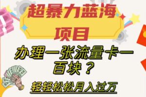 超暴力蓝海项目，办理一张流量卡一百块？轻轻松松月入过万，保姆级教程【揭秘】