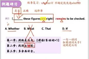 史心语英语2024高中英语暑假班网课