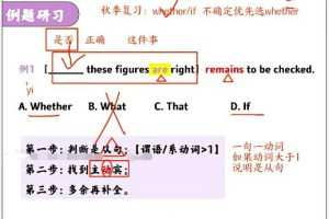 史心语英语2024高中英语暑假班网课