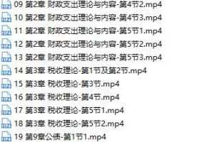 2020中级经济师备考财税专业基础精讲线上培训视频课程(36讲)