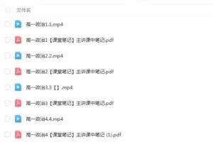 朱法垚政治2023高一政治期末复习