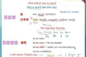 张亮英语2024高二英语秋领航A+