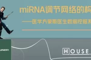 数据挖掘—miRNA调节网络的构建