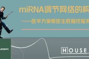 数据挖掘—miRNA调节网络的构建