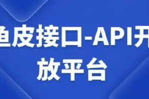 鱼皮接口-API开放平台视频课程