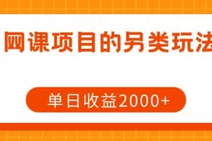 网课项目的另类玩法，单日收益2000+【揭秘】