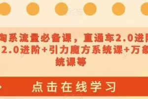 2023淘系流量必备课，直通车2.0进阶+引力魔方2.0进阶+引力魔方系统课+万象台系统课等