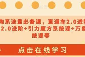 2023淘系流量必备课，直通车2.0进阶+引力魔方2.0进阶+引力魔方系统课+…