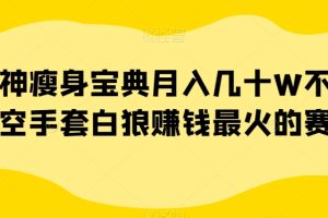 女神瘦身宝典月入几十W不是梦空手套白狼赚钱最火的赛道【揭秘】