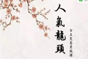 低吸女王人气龙头周期系统