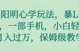 王阳明心学玩法，暴L变现，一部手机，小白轻松月入过万，保姆级教学【揭秘】