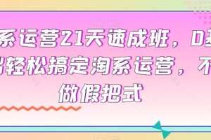 淘系运营21天速成班，0基础轻松搞定淘系运营，不做假把式