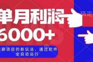 陪聊项目的新玩法，通过软件全自动运行，单月利润6000+【揭秘】