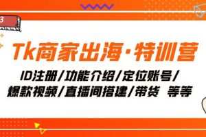 Tk商家出海·特训营：ID注册/功能介绍/定位账号/爆款视频/直播间搭建/带货.