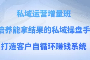 私域运营增量班 培养能拿结果的私域操盘手，打造客户自循环赚钱系统