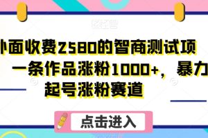 外面收费2580的智商测试项目，一条作品涨粉1000+，暴力起号涨粉赛道【揭秘】