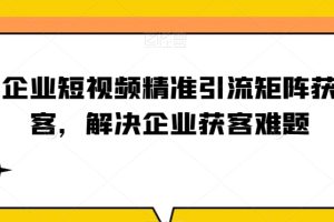 企业短视频精准引流矩阵获客，解决企业获客难题