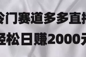 冷门赛道拼多多直播，简单念稿子，日收益2000＋【揭秘】