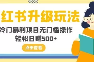 小红书升级玩法，冷门暴利项目无门槛操作，轻松日赚500+