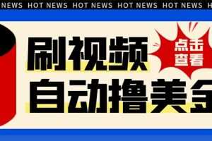 最新海外浏览视频掘金挂机撸美金项目，单窗口日收益30+ 【挂机脚本+使用…