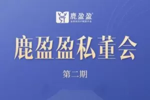 (鹿大米)鹿盈盈私董会密训【第二期】3节