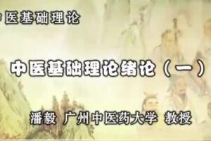 潘毅中医基础理论123讲(完整版)