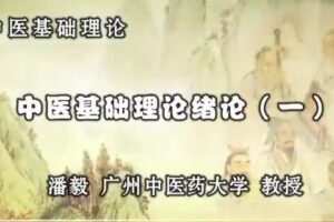 潘毅中医基础理论123讲（完整版）